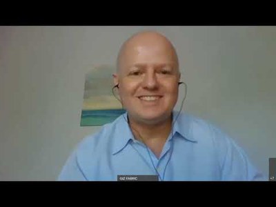 Online Seminar 2 The Impact of the Crisis The Brands´ Perspective